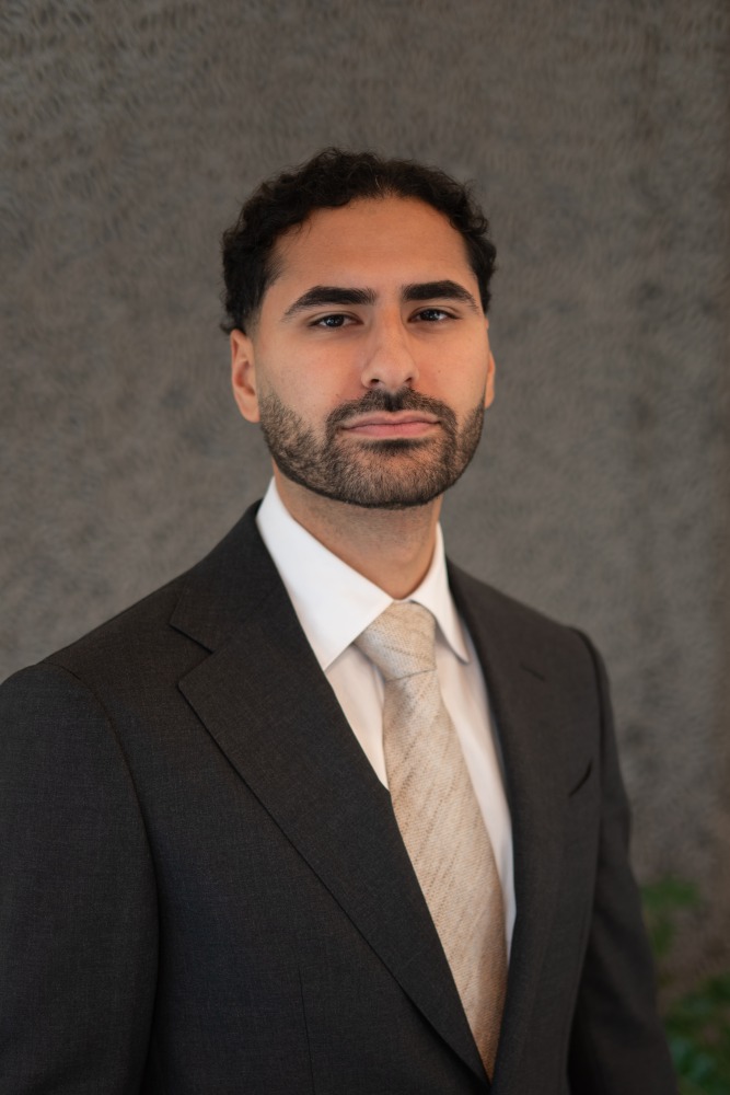 Amir al Hasnawy